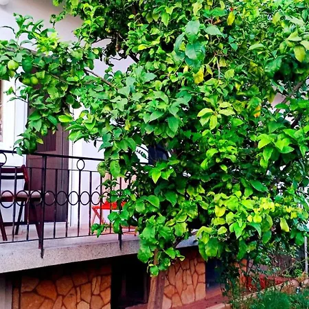 Tija Apartment Zadar