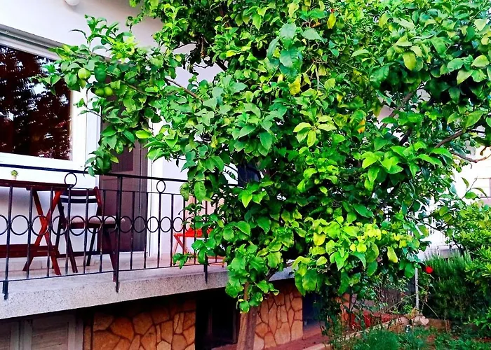 Tija Apartment Zadar